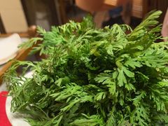 茼蒿-山城年华老火锅(玉林店)