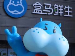 -盒马鲜生(悦峰店)