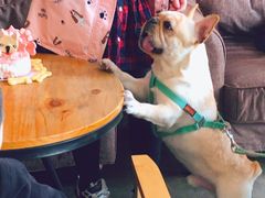 -CafeDuVillage乡村咖啡馆(美邻苑店)