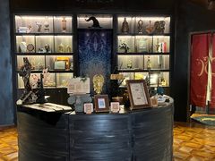 -雪灵魔法世界SHELLY’S TAROT(大良桂畔里店)