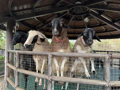 -珠海海泉湾神秘岛亲子乐园