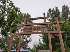 -御林古桑园