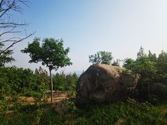 -白水寺森林公园