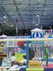 -爱丽丝奇幻乐园