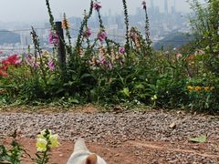 -广州市白云山风景名胜区