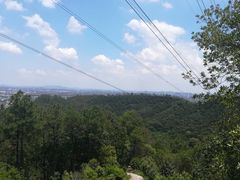 -滴水岩森林公园