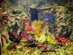 -太平洋海底世界