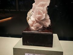 -天津自然博物馆