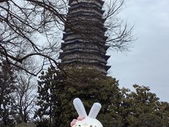 -红梅公园