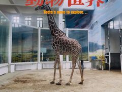 -天津市动物园