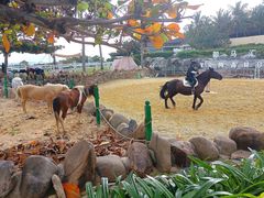 -三亚亚龙湾天域度假酒店