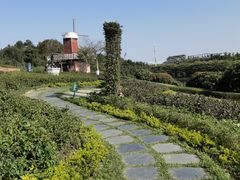 -东莞植物园