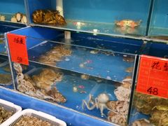 -小鱼儿海鲜港(新村十区店)