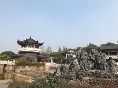 -广东花都湖国家湿地公园