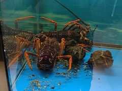 -西村日本料理(香格里拉饭店)