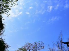 -重庆彩云湖湿地公园
