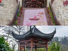 -广州神农草堂中医药博物馆