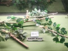 -天津自然博物馆