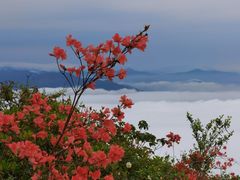 -瑞安圣井山景区