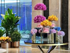 -北京朝阳悠唐皇冠假日酒店