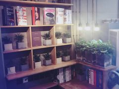 -HIGH FIVE哈福手工汉堡(桂林路店)