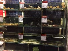 水产区-吕氏疙瘩汤·私家菜馆(慈云寺店)