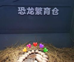 -恐龙探索乐园(磁器口店)