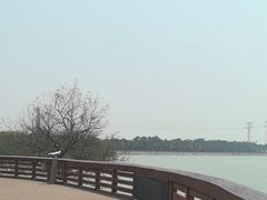 -宝安西湾红树林湿地公园