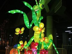 -沈阳奥体冰雪嘉年华