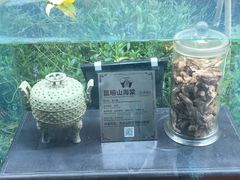 -广州神农草堂中医药博物馆