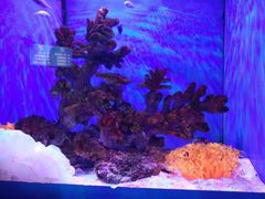 -多彩贵州城极地海洋世界