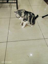 -长沙纹身·龙堂刺青·三土师傅的店