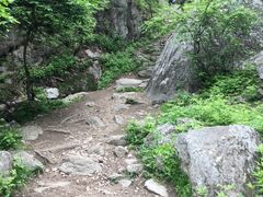 -王顺山国家森林公园