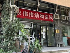 -伟伟宠物医院·CT影像中心·瑞派犬猫综合性门诊(汉口总院)