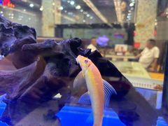 -新辉港式茶餐厅(北栅店)