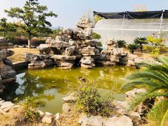 -呼吸森林·生态农庄农家乐私房菜