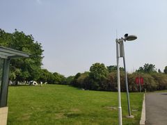 -九里河湿地公园