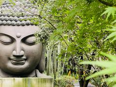 -杭州植物园