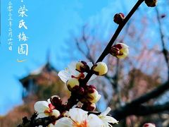 -无锡梅园公园