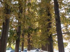 -南通濠河风景名胜区