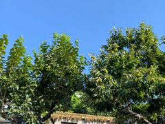 -聚农庄民宿农家院(梨木台东山店)