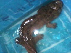 -三只鸟本地特色菜馆(上饶总店)