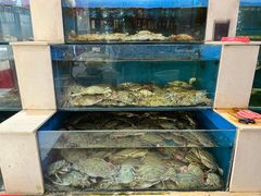 水产区-小铜锣湾海鲜家常菜馆(河西店)
