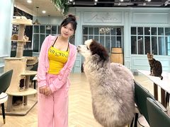 -安格丽娜·狗咖·猫咖羊驼咖(春熙路百盛商场店)
