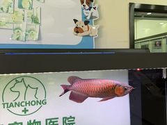 -天宠宠物医院24小时·急重症诊疗中心·全科·腔镜特色(和平分院)