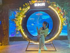 -沈阳海洋探索中心