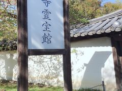 -醍醐寺