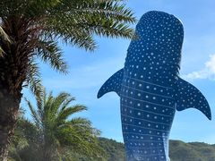 -珠海长隆海洋王国