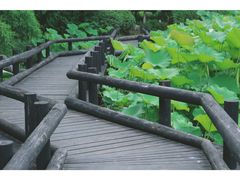 -合肥三国新城遗址公园