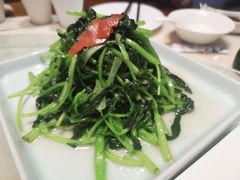 -北京老铺烤鸭(西稍门店)